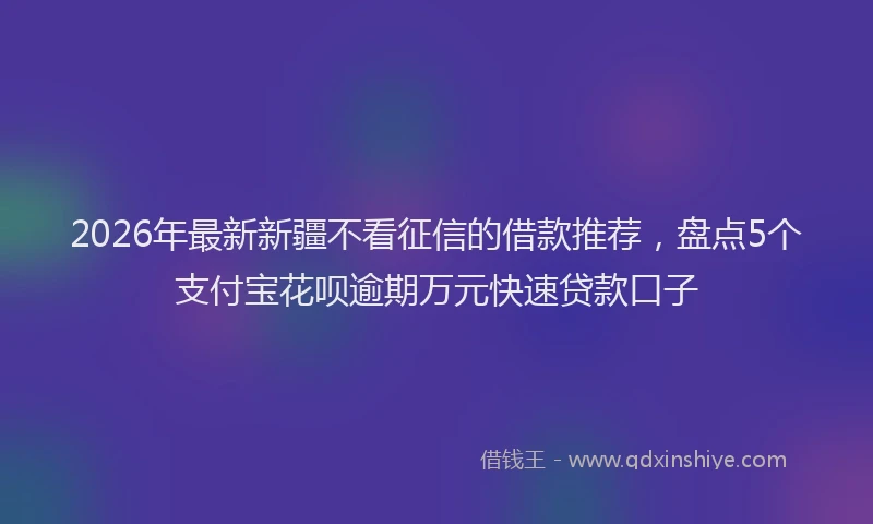 2026年最新新疆不看征信的借款推荐，盘点5个支付宝花呗逾期万元快速贷款口子