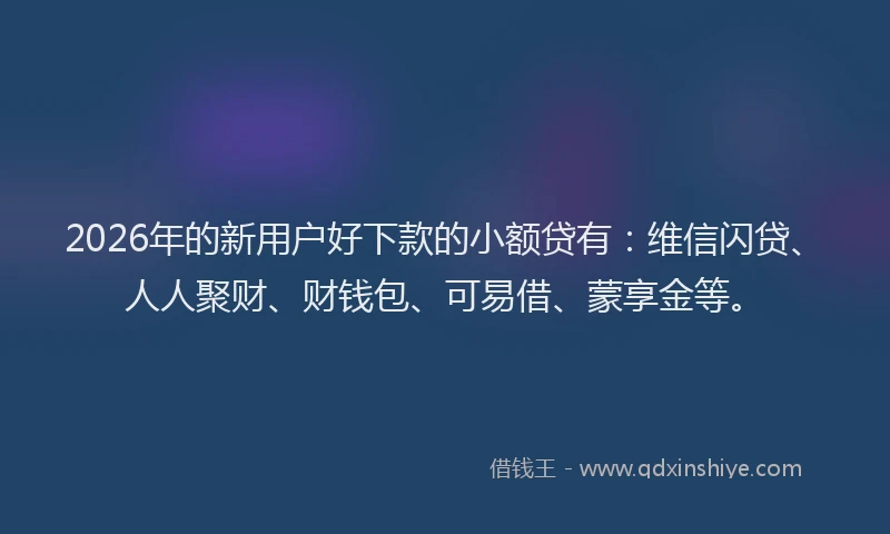 2026年的新用户好下款的小额贷有：维信闪贷、人人聚财、财钱包、可易借、蒙享金等。