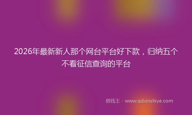 2026年最新新人那个网台平台好下款，归纳五个不看征信查询的平台