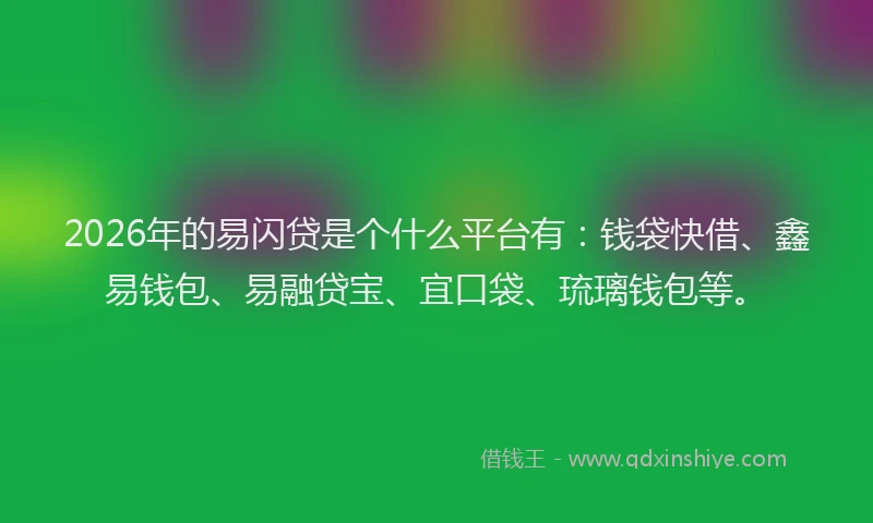 2026年的易闪贷是个什么平台有：钱袋快借、鑫易钱包、易融贷宝、宜口袋、琉璃钱包等。