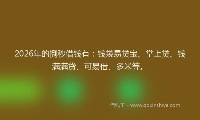2026年的捌秒借钱有：钱袋易贷宝、掌上贷、钱满满贷、可易借、多米等。