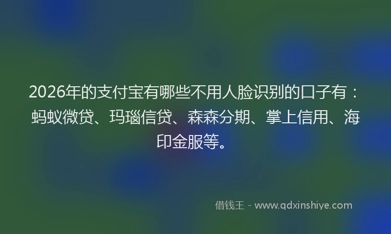 2026年的支付宝有哪些不用人脸识别的口子有：蚂蚁微贷、玛瑙信贷、森森分期、掌上信用、海印金服等。