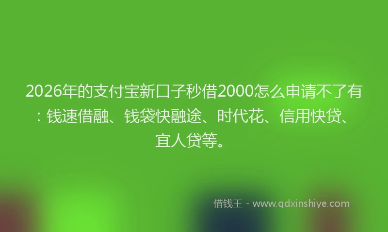 2026年的支付宝新口子秒借2000怎么申请不了有：钱速借融、钱袋快融途、时代花、信用快贷、宜人贷等。
