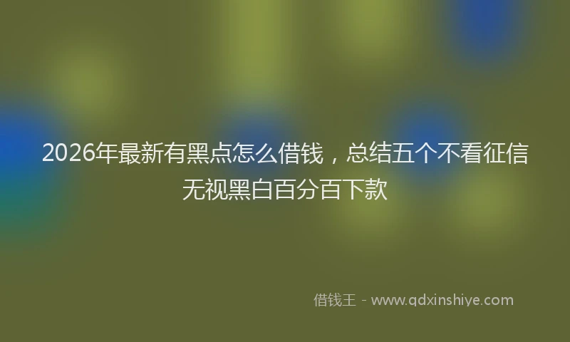 2026年最新有黑点怎么借钱，总结五个不看征信无视黑白百分百下款