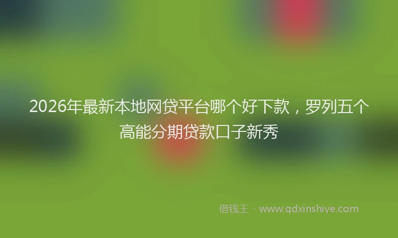 2026年最新本地网贷平台哪个好下款，罗列五个高能分期贷款口子新秀