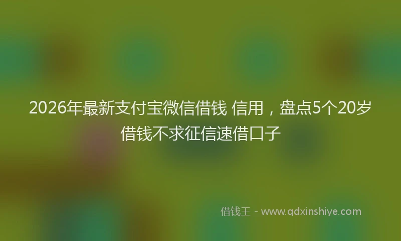 2026年最新支付宝微信借钱 信用，盘点5个20岁借钱不求征信速借口子