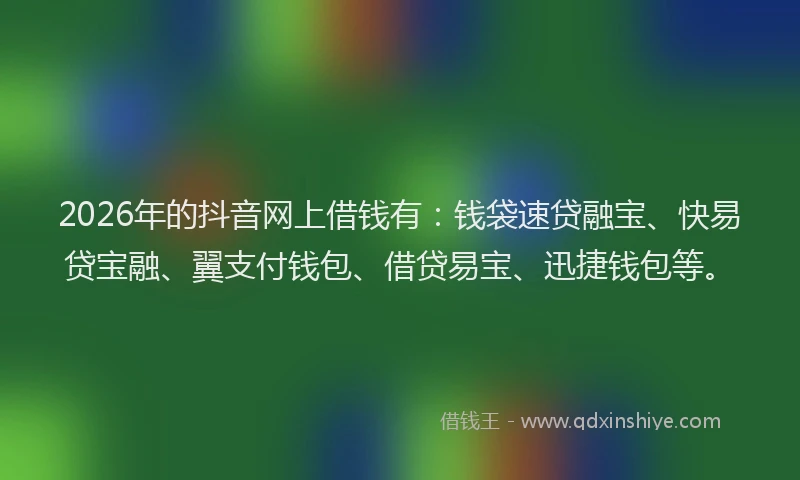 2026年的抖音网上借钱有：钱袋速贷融宝、快易贷宝融、翼支付钱包、借贷易宝、迅捷钱包等。