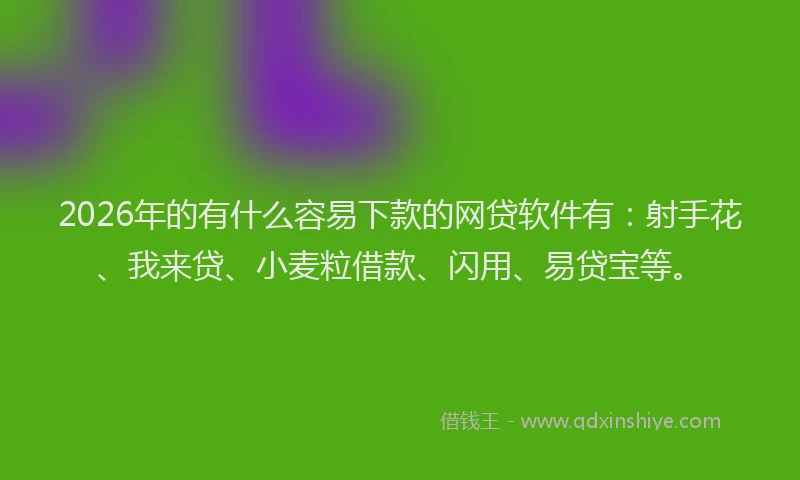 2026年的有什么容易下款的网贷软件有：射手花、我来贷、小麦粒借款、闪用、易贷宝等。