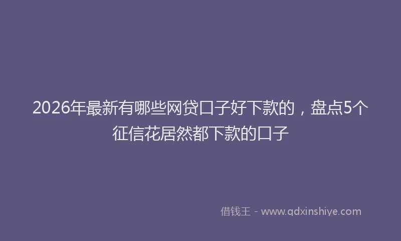 2026年最新有哪些网贷口子好下款的，盘点5个征信花居然都下款的口子