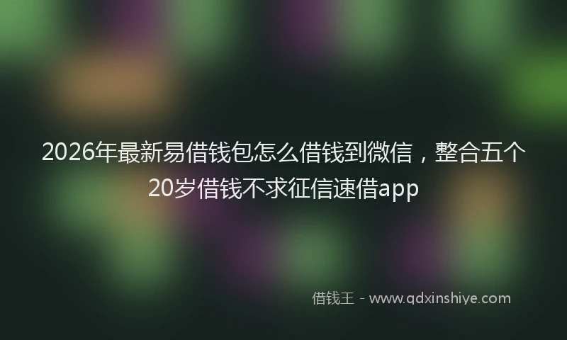 2026年最新易借钱包怎么借钱到微信，整合五个20岁借钱不求征信速借app