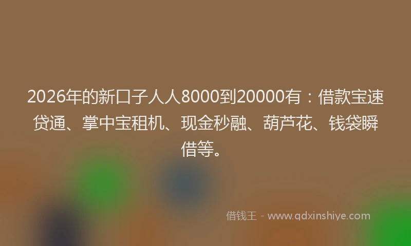 2026年的新口子人人8000到20000有：借款宝速贷通、掌中宝租机、现金秒融、葫芦花、钱袋瞬借等。