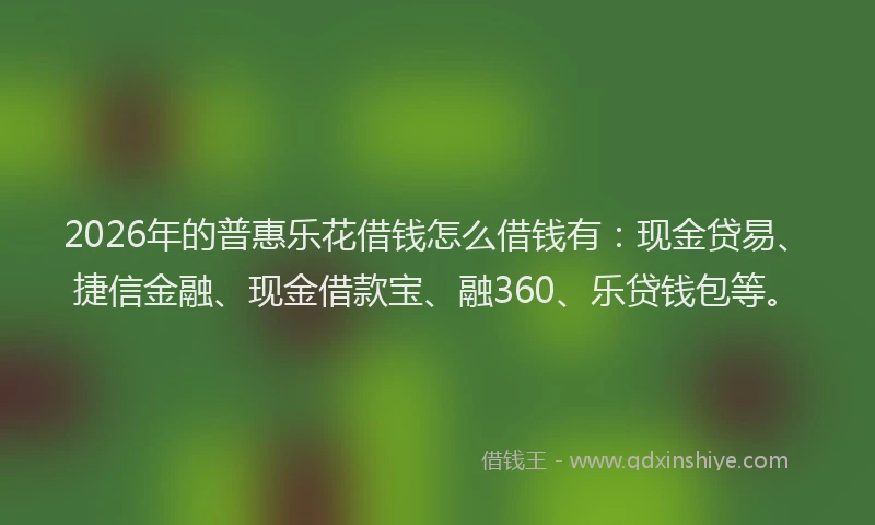 2026年的普惠乐花借钱怎么借钱有：现金贷易、捷信金融、现金借款宝、融360、乐贷钱包等。