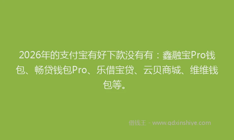 2026年的支付宝有好下款没有有：鑫融宝Pro钱包、畅贷钱包Pro、乐借宝贷、云贝商城、维维钱包等。