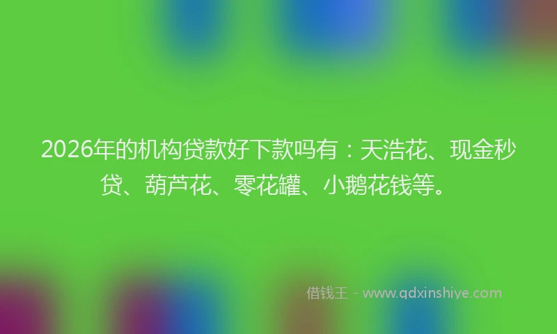 2026年的机构贷款好下款吗有：天浩花、现金秒贷、葫芦花、零花罐、小鹅花钱等。