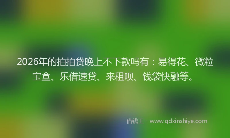 2026年的拍拍贷晚上不下款吗有：易得花、微粒宝盒、乐借速贷、来租呗、钱袋快融等。