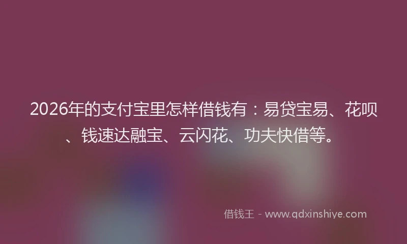 2026年的支付宝里怎样借钱有：易贷宝易、花呗、钱速达融宝、云闪花、功夫快借等。