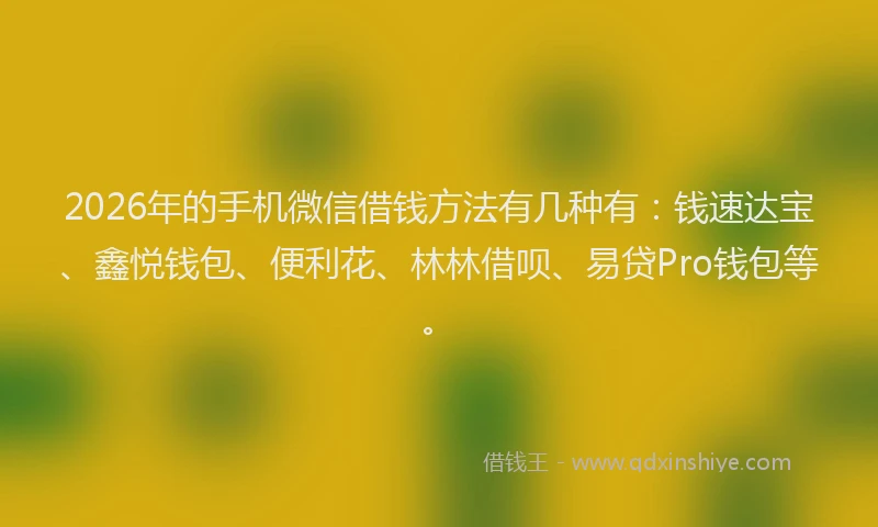 2026年的手机微信借钱方法有几种有：钱速达宝、鑫悦钱包、便利花、林林借呗、易贷Pro钱包等。