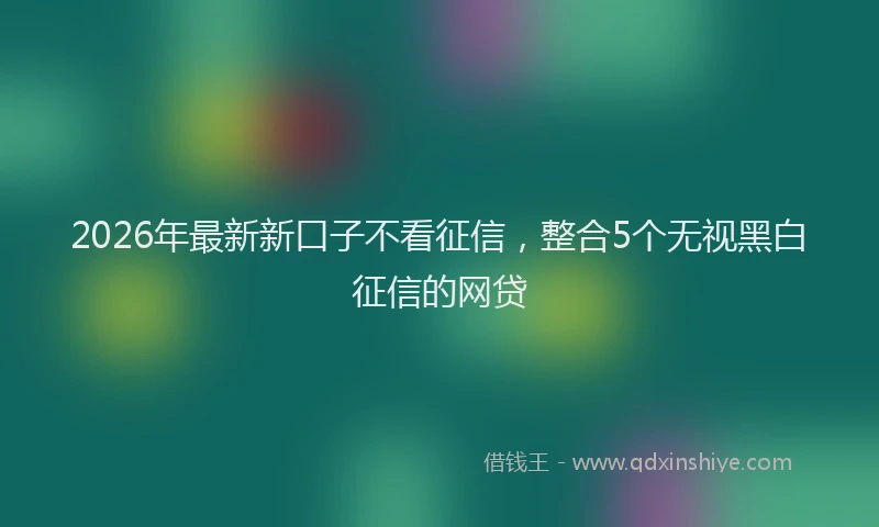 2026年最新新口子不看征信，整合5个无视黑白征信的网贷