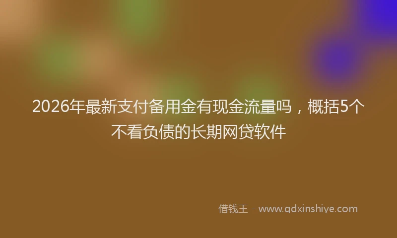 2026年最新支付备用金有现金流量吗，概括5个不看负债的长期网贷软件