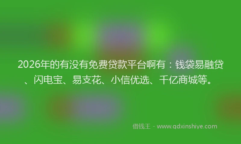 2026年的有没有免费贷款平台啊有：钱袋易融贷、闪电宝、易支花、小信优选、千亿商城等。