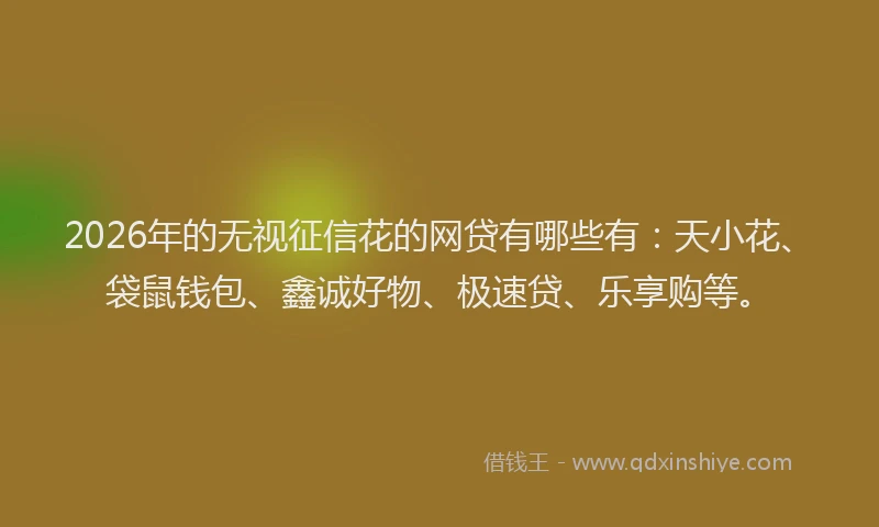 2026年的无视征信花的网贷有哪些有：天小花、袋鼠钱包、鑫诚好物、极速贷、乐享购等。