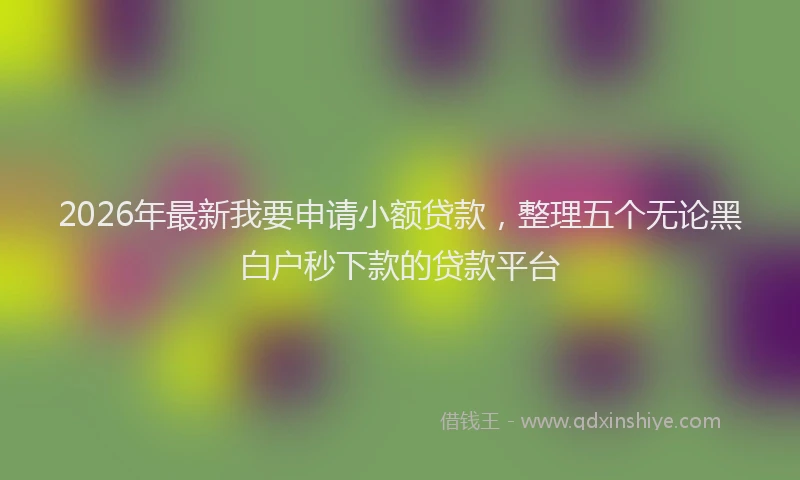 2026年最新我要申请小额贷款，整理五个无论黑白户秒下款的贷款平台
