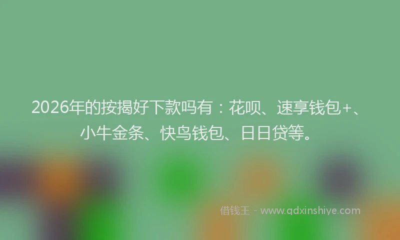 2026年的按揭好下款吗有：花呗、速享钱包+、小牛金条、快鸟钱包、日日贷等。