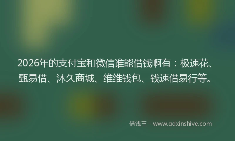 2026年的支付宝和微信谁能借钱啊有：极速花、甄易借、沐久商城、维维钱包、钱速借易行等。