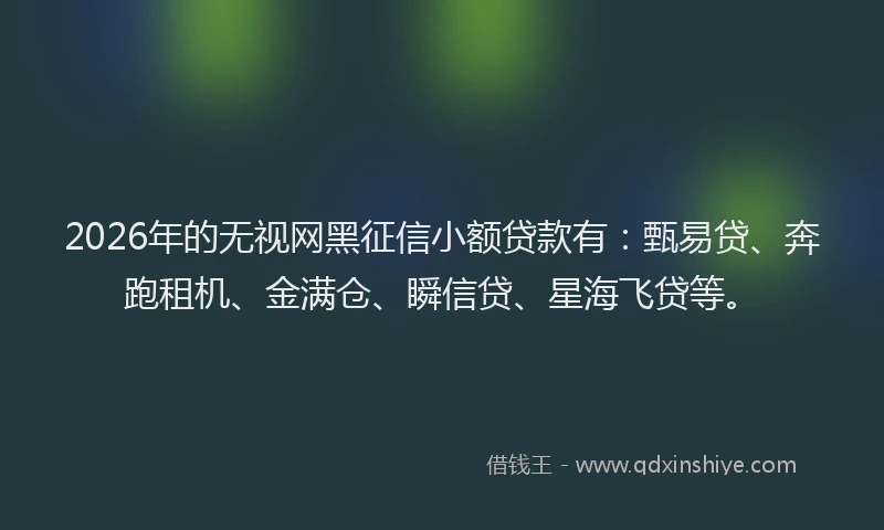 2026年的无视网黑征信小额贷款有：甄易贷、奔跑租机、金满仓、瞬信贷、星海飞贷等。