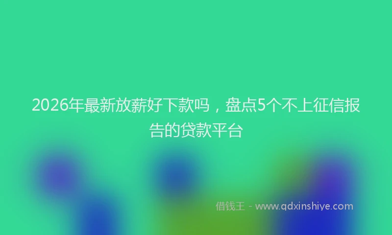 2026年最新放薪好下款吗，盘点5个不上征信报告的贷款平台