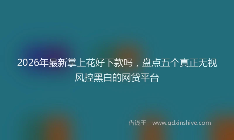 2026年最新掌上花好下款吗，盘点五个真正无视风控黑白的网贷平台