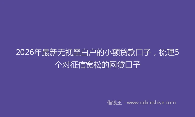 2026年最新无视黑白户的小额贷款口子，梳理5个对征信宽松的网贷口子