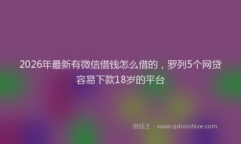 2026年最新有微信借钱怎么借的，罗列5个网贷容易下款18岁的平台