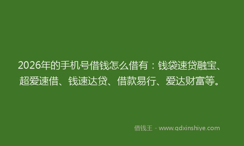 2026年的手机号借钱怎么借有：钱袋速贷融宝、超爱速借、钱速达贷、借款易行、爱达财富等。