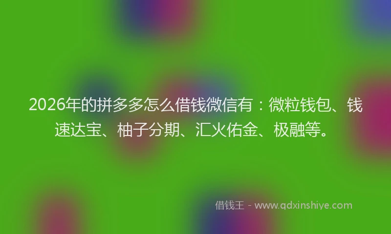 2026年的拼多多怎么借钱微信有：微粒钱包、钱速达宝、柚子分期、汇火佑金、极融等。