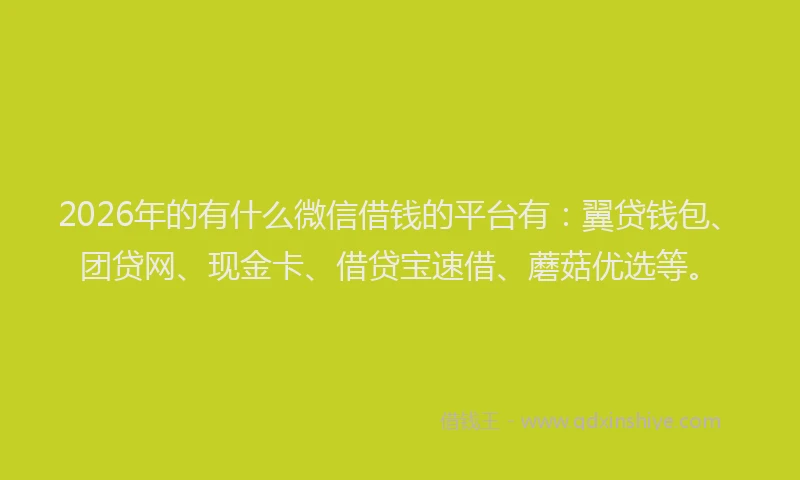 2026年的有什么微信借钱的平台有：翼贷钱包、团贷网、现金卡、借贷宝速借、蘑菇优选等。