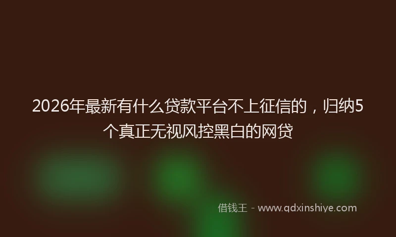 2026年最新有什么贷款平台不上征信的，归纳5个真正无视风控黑白的网贷