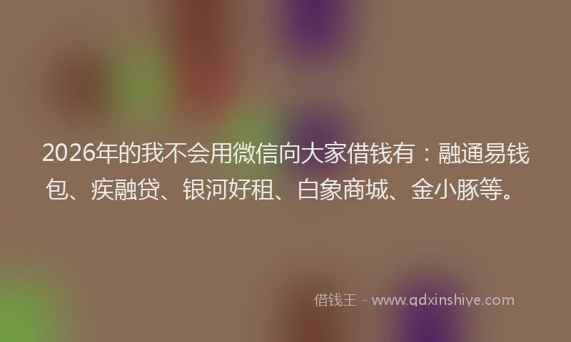 2026年的我不会用微信向大家借钱有：融通易钱包、疾融贷、银河好租、白象商城、金小豚等。