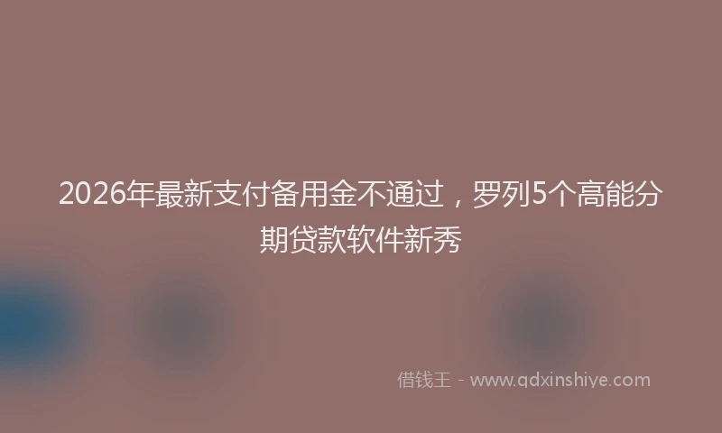 2026年最新支付备用金不通过，罗列5个高能分期贷款软件新秀