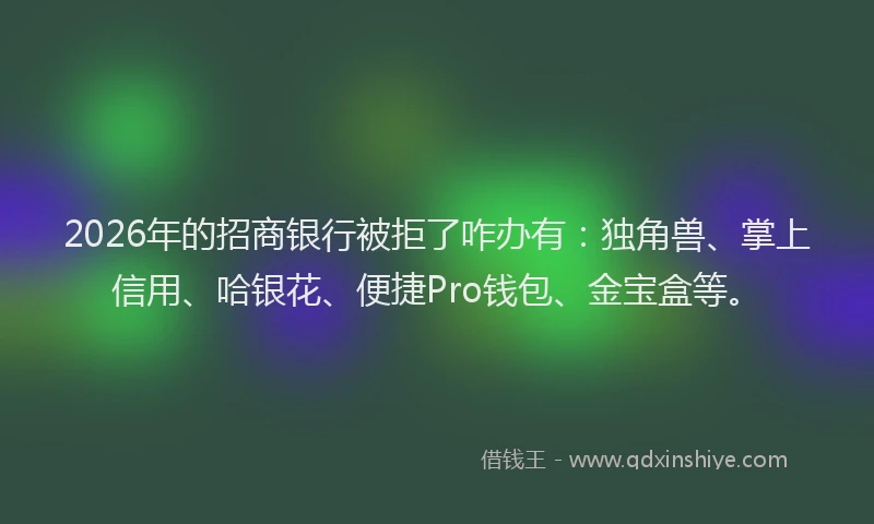 2026年的招商银行被拒了咋办有：独角兽、掌上信用、哈银花、便捷Pro钱包、金宝盒等。