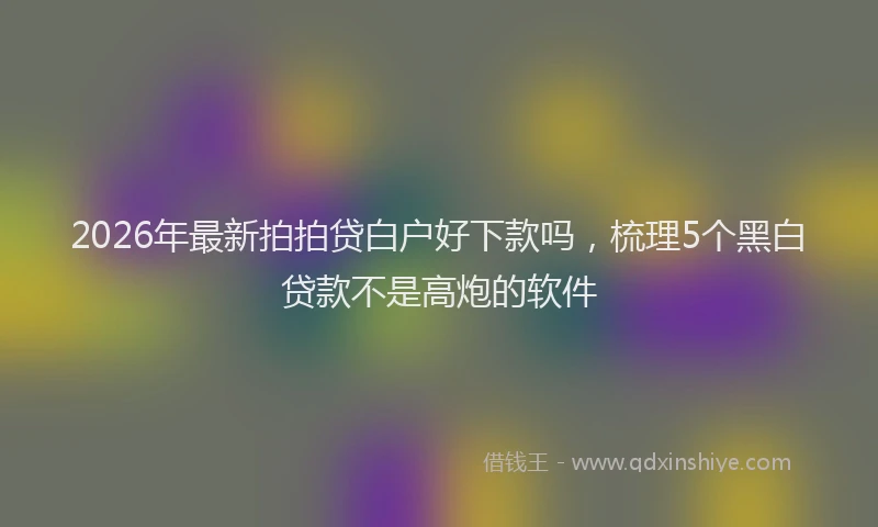 2026年最新拍拍贷白户好下款吗，梳理5个黑白贷款不是高炮的软件