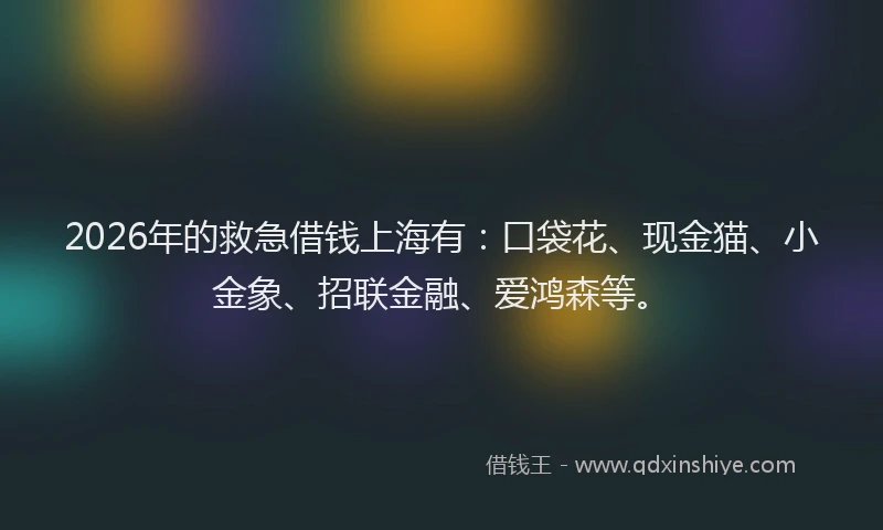 2026年的救急借钱上海有：口袋花、现金猫、小金象、招联金融、爱鸿森等。