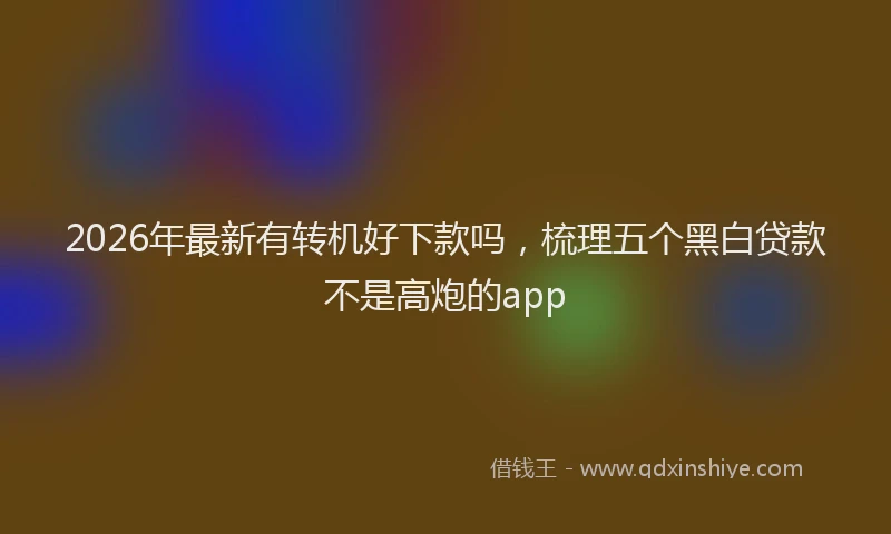 2026年最新有转机好下款吗，梳理五个黑白贷款不是高炮的app