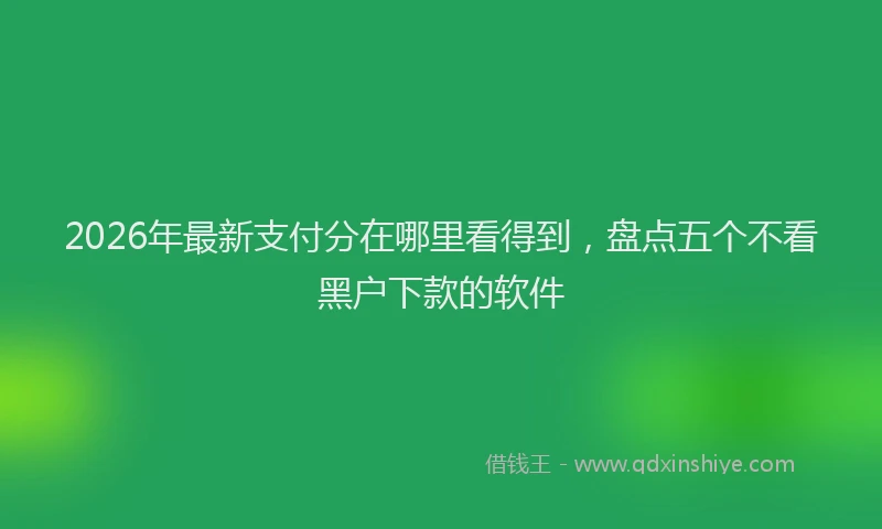 2026年最新支付分在哪里看得到，盘点五个不看黑户下款的软件