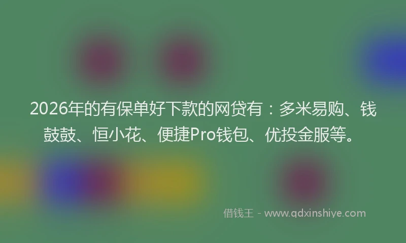 2026年的有保单好下款的网贷有：多米易购、钱鼓鼓、恒小花、便捷Pro钱包、优投金服等。
