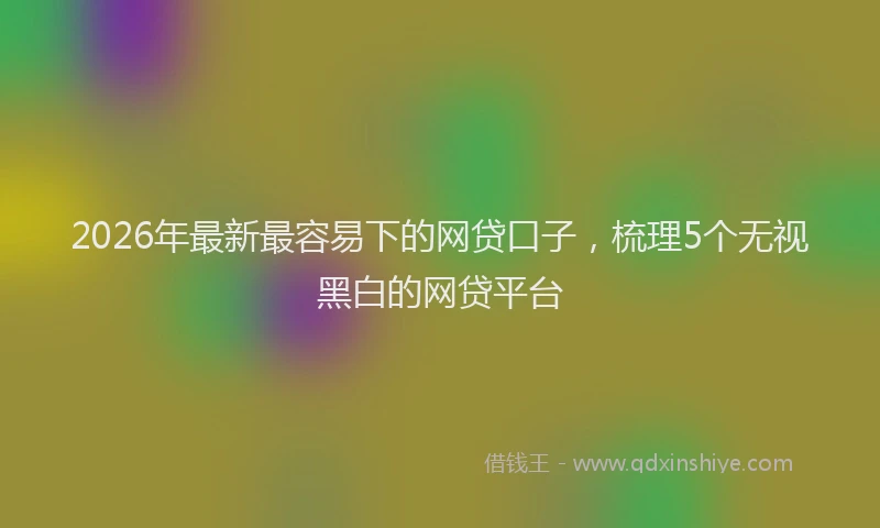 2026年最新最容易下的网贷口子，梳理5个无视黑白的网贷平台