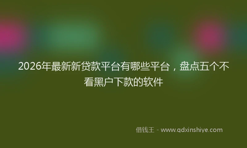 2026年最新新贷款平台有哪些平台，盘点五个不看黑户下款的软件