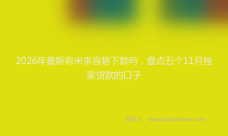 2026年最新有米来容易下款吗，盘点五个11月独家贷款的口子