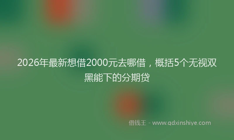 2026年最新想借2000元去哪借，概括5个无视双黑能下的分期贷