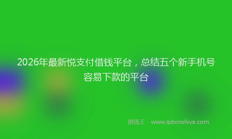 2026年最新悦支付借钱平台,总结五个新手机号容易下款的平台